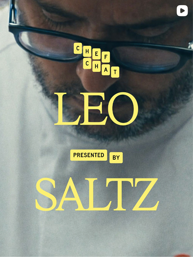 Saltz Leo campaign artwork